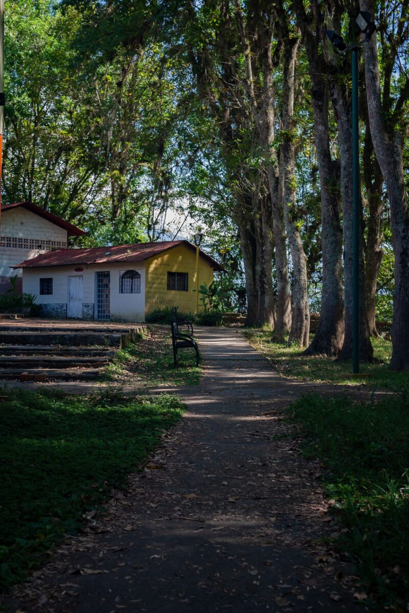 Serene park pathway surrounded by trees and houses in Mérida, Venezuela, under dappled sunlight.