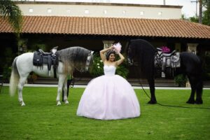 A woman in a pink ball gown poses outdoors with two majestic horses on a grass field.